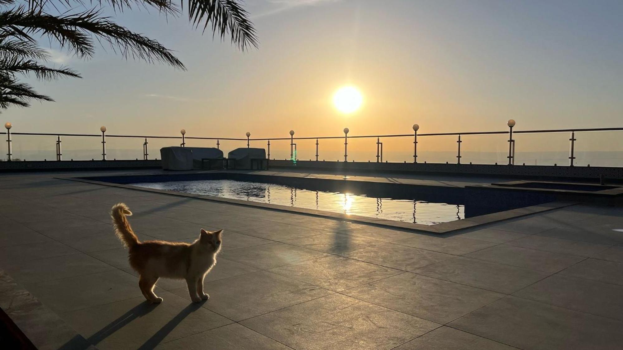 Golden Rays Chalet Madaba Luaran gambar